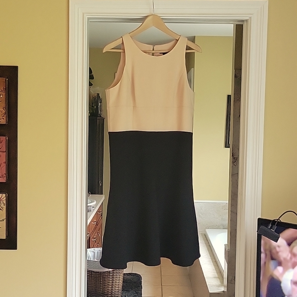 Amn taylor beige/black dress
